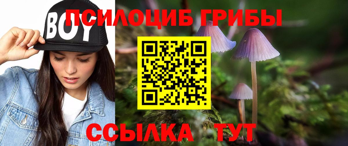 Галлюциногенные грибы ЛСД Воронеж